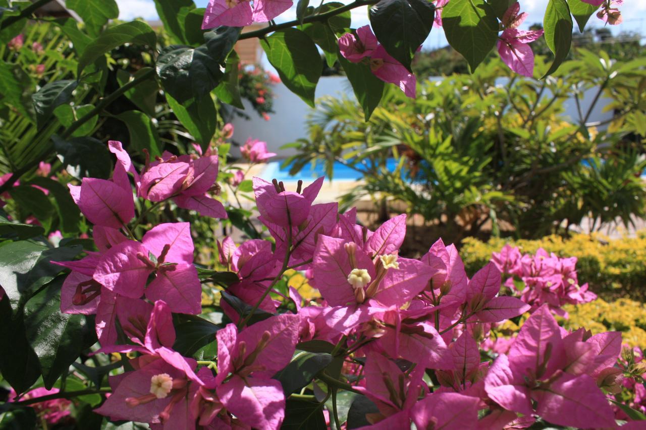 Roi Holiday Stay กรองด์เบย์ ภายนอก รูปภาพ